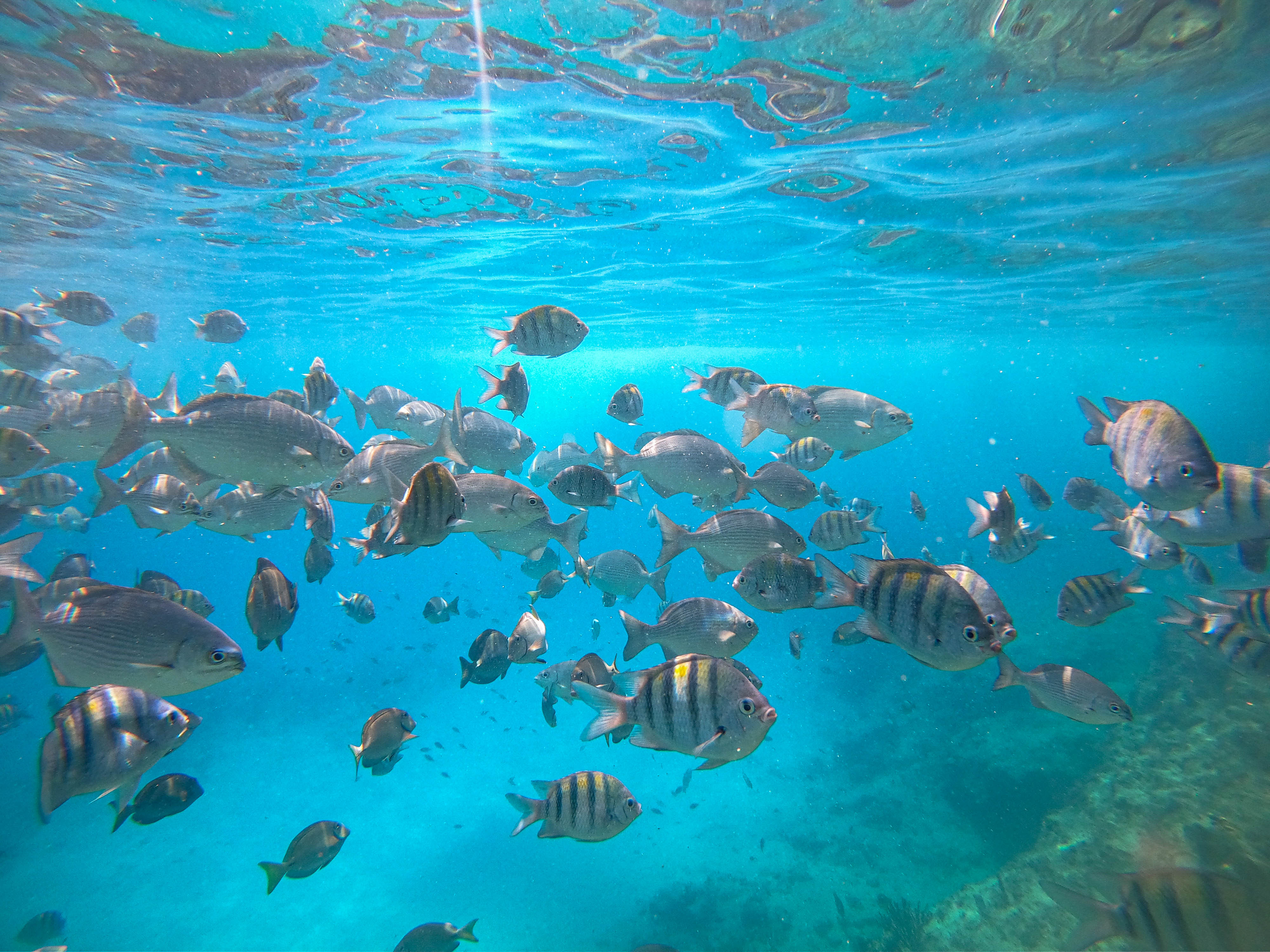 Playa Arboletes 20